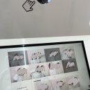 포토이즘컬러드연남점