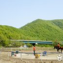 문경승마클럽 이미지