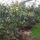 현승농장 이미지