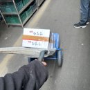 파티마연합내과의원 이미지