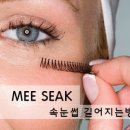 미색단장 네이버블로그