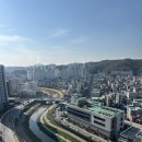 [이파트 사전점검 업체 후기] 성실하자 후기