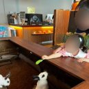 크레이쥬 이미지