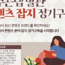 제주코리아 이미지