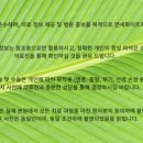 연세김치과의원 이미지