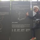 방어진초교 이미지