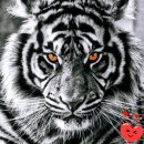 라라코스트 경산점 이미지