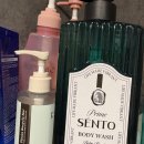 프라임워시 | 센토 프라임 약산성바디워시 후기｜고보습바디워시 &amp; 향좋은바디워시추천 찾는다면