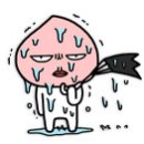 카톡 이미지