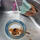 음식물쓰레기처리기 중 분쇄형건조형 비교해보고 고민중이라면 4세대 에코지니 사용후기