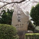 사덕상리 티스토리