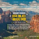 투어 365 여행사