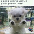우림컴퍼니