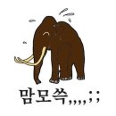 이마트24 여수연등점 | 혼자 1박2일 여행ㅣ여수 라테라스 리조트 호캉스 + 경주 형산강 연등축제 후기
