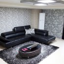 르네시떼 이미지