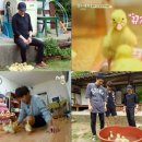삼시세끼 이미지