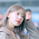 미야