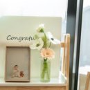 마코토프리미엄 이미지