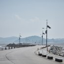 화성 제부모세마을 Daum카페