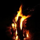 태산농장 2 이미지