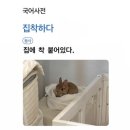 차칸샵 | [대학생 일상] 진짜로 끝나버린 2025년!