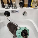 하누동물병원 이미지