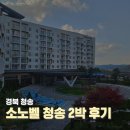 세븐일레븐 온천원룸점 | 경북 청송여행 소노벨 청송 2박 후기 주왕산 주산지가 가까운 숙소