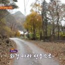 문박 민박 네이버블로그