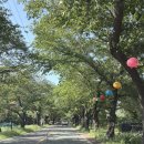 하동여행 아이랑 가기 좋은 숙소 추천 꿈펜션 (바베큐, 계곡) 내돈내산