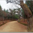 문경새재 옛길박물관 이미지