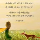 시나브로