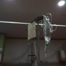 목동힘찬병원 구내매점 | 성인용 기저귀 디펜드 사용 후기