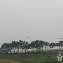 장삼포해수욕장 Daum카페