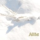 방은목장 이미지