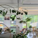 과르네리 | 거제 바람의언덕 신선대를 모두 볼 수 있는 오션뷰 과르네리 카페