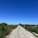 쥬크펜션 이미지