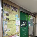 난초꽃피다임앤오안과