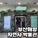 부산해양박물관 | 부산해양 자연사박물관 다녀온 후기 (ft. 열대생물전시실 완전 정복)
