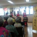 혼디가자 이미지