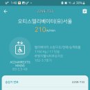 시티엘리베이터