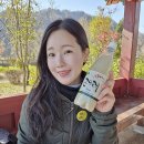 선우여행사