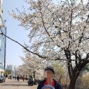 건강 체조A 이미지