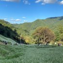 메밀정원 이미지