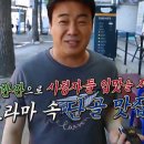 서울껍데기 이미지