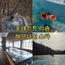제천온천관광지 | 제천관광지 포레스트 리솜 해브나인 스파 수영장 FOREST RESOM 제천 아이와 겨울에 가볼만한 곳