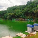 살구골낚시터 이미지