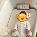 저상형 아기침대 &#39;소르니아 뉴수플레 데이베드&#39; 내돈내산 후기 (가성비갑)