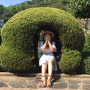 거제시티투어(주)
