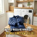 황금세탁소 이미지