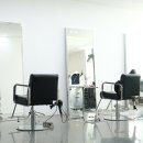 디오 동물병원 이미지